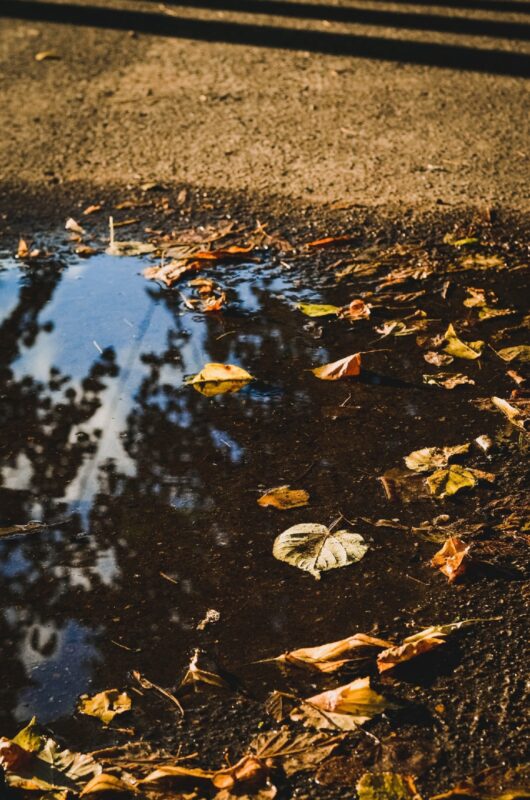 Солнечная прогулка: как выглядит летняя Тверь в объективе фотоаппарата