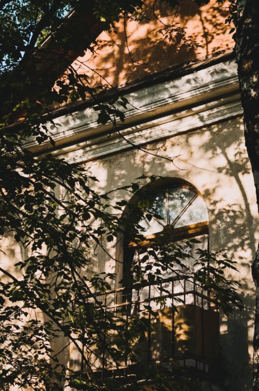 Солнечная прогулка: как выглядит летняя Тверь в объективе фотоаппарата