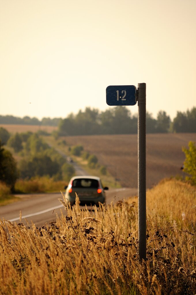 В Тверской области нетрезвый водитель врезался в столб