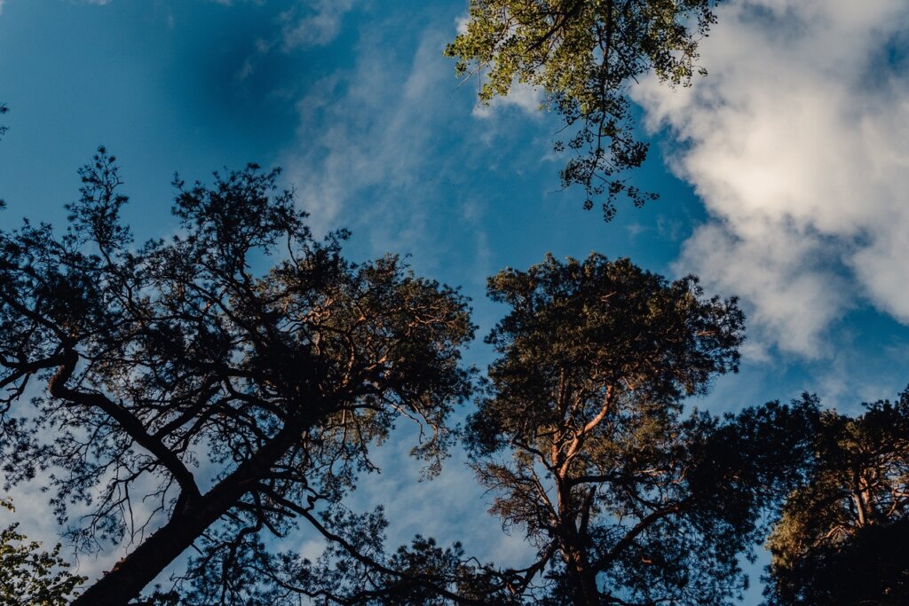 Тверской фотограф показал в своих снимках красоту родного края Тверской фотограф показал в своих снимках красоту родного края
