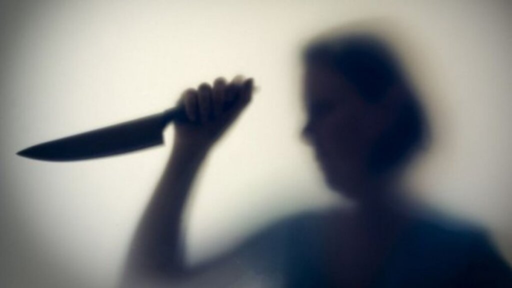 В Тверской области женщину судят за убийство сожителя ножом