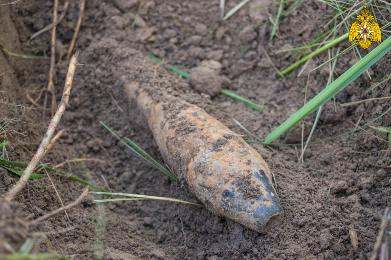 В Тверской области разминируют боеприпасы времен Великой Отечественной войны