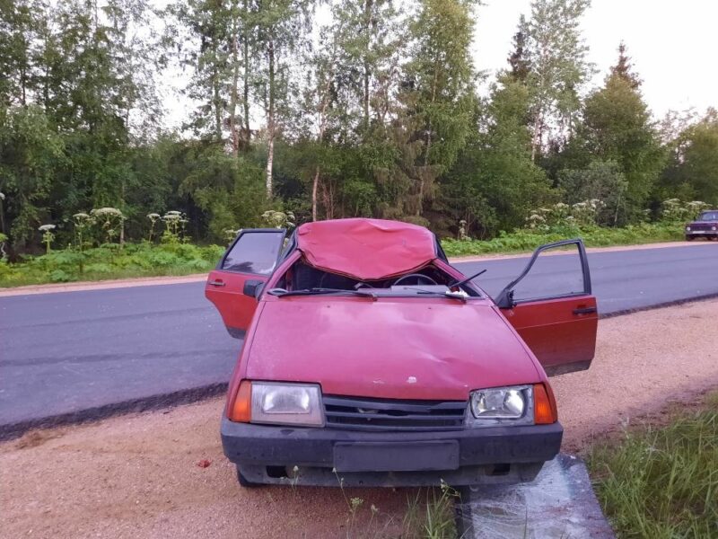 В Тверской области еще один лось погиб под колесами автомобиля В Тверской области еще один лось погиб под колесами автомобиля
