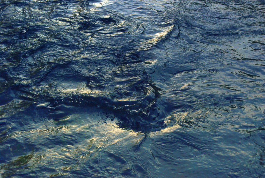 В Тверской области после убийства женщины сбросили труп мужчины в пруд