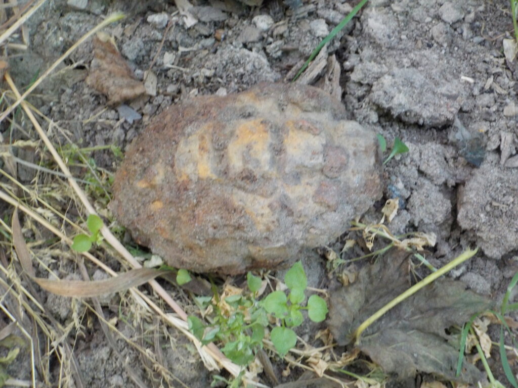 В Тверской области обезвредили снаряд времен Великой Отечественной войны В Тверской области обезвредили снаряд времен Великой Отечественной войны