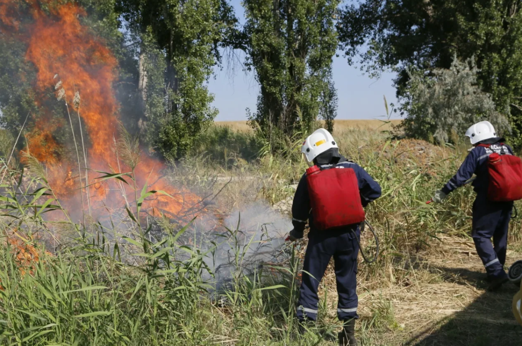 В Бологовском районе борются с ландшафтным пожаром