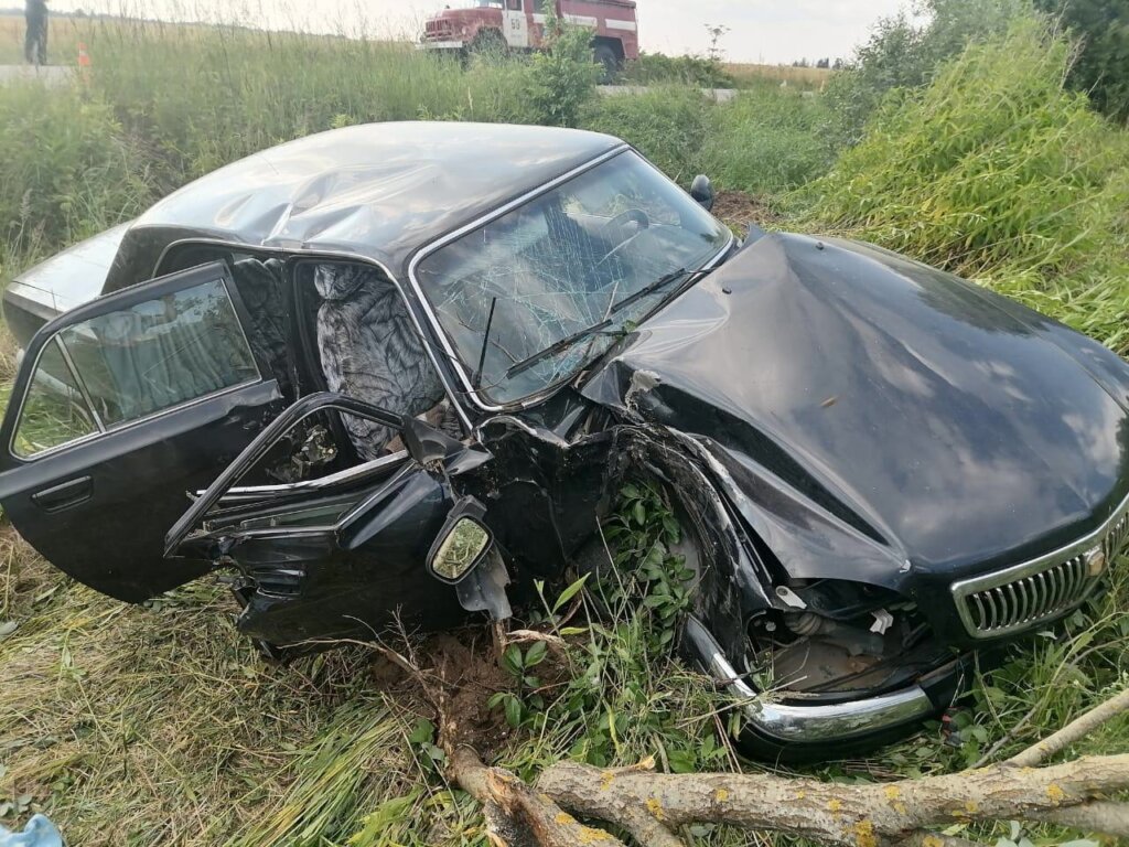 В Тверской области "Волга" влетела в дерево В Тверской области "Волга" влетела в дерево
