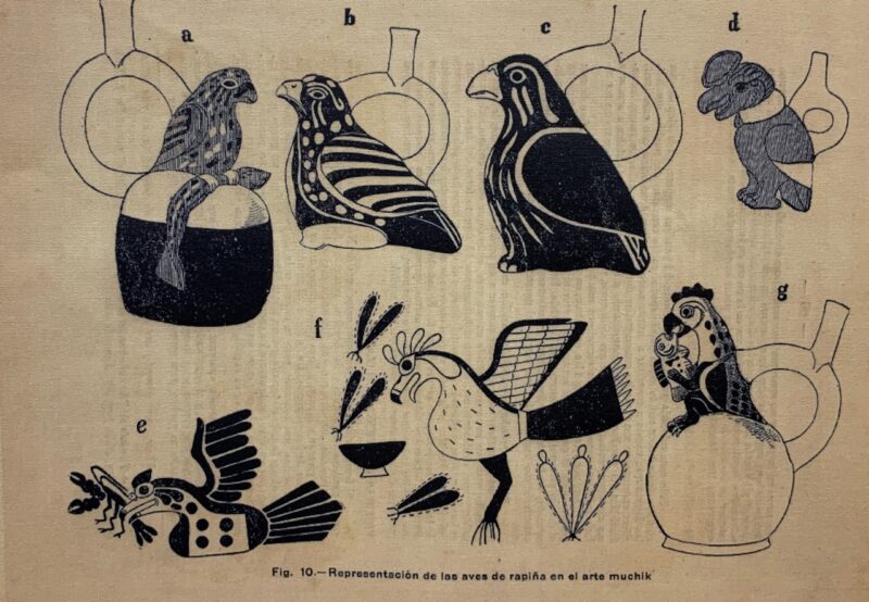 В Торжке открылась выставка, посвященная ученому-археологу Евгению Яковлеву