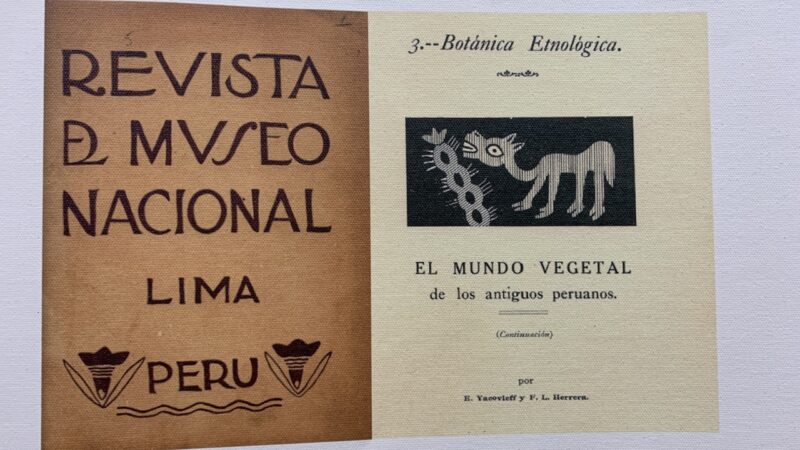 В Торжке открылась выставка, посвященная ученому-археологу Евгению Яковлеву