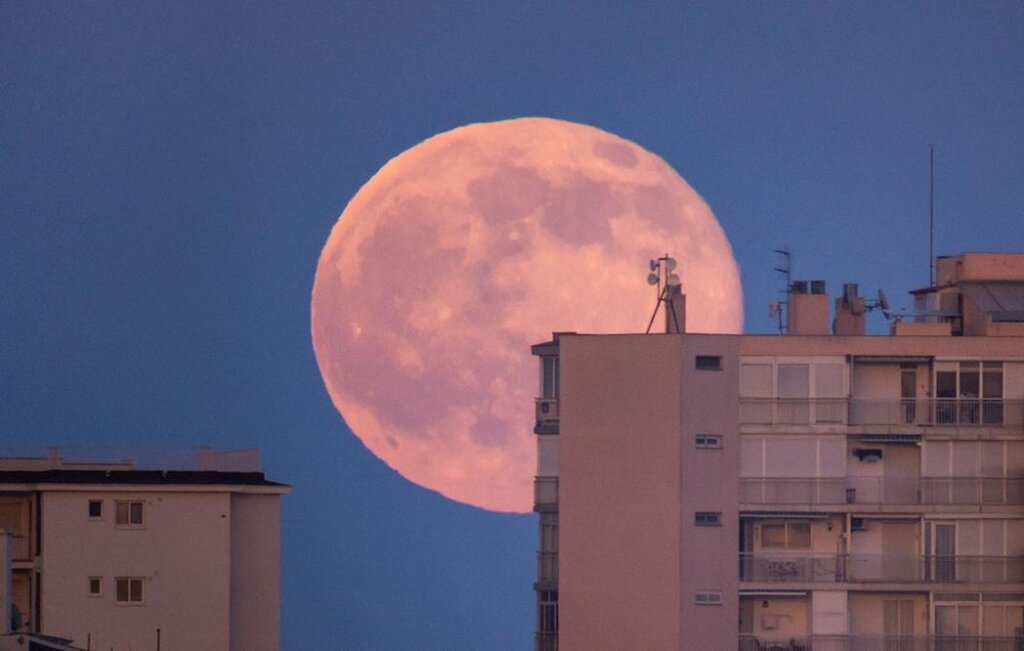 В Твери устроят большой праздник в честь небесного светила В Твери устроят большой праздник в честь небесного светила
