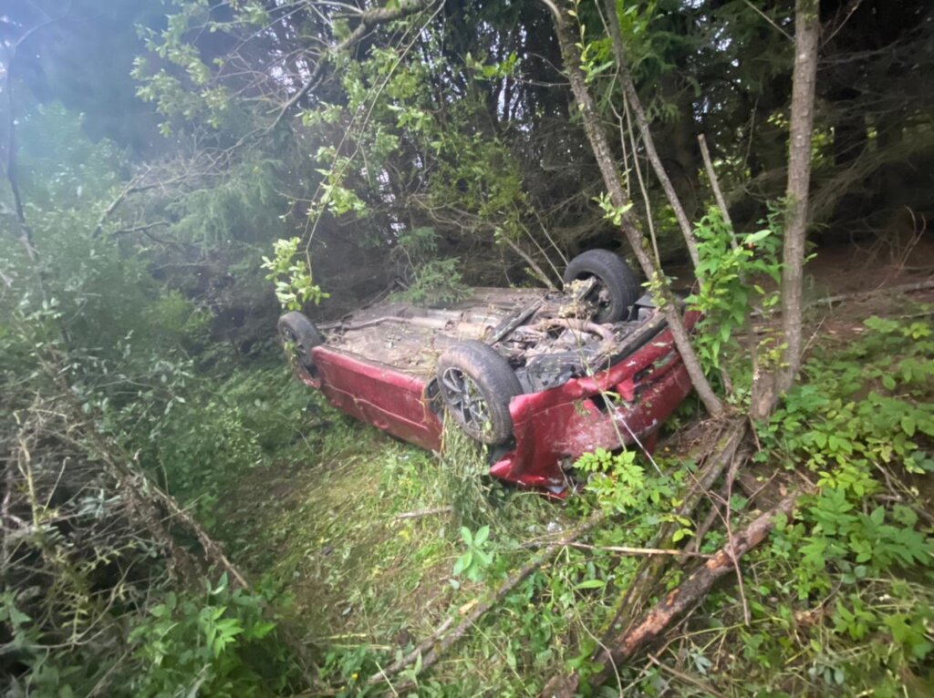 В Тверской области иномарка вылетела в кювет
