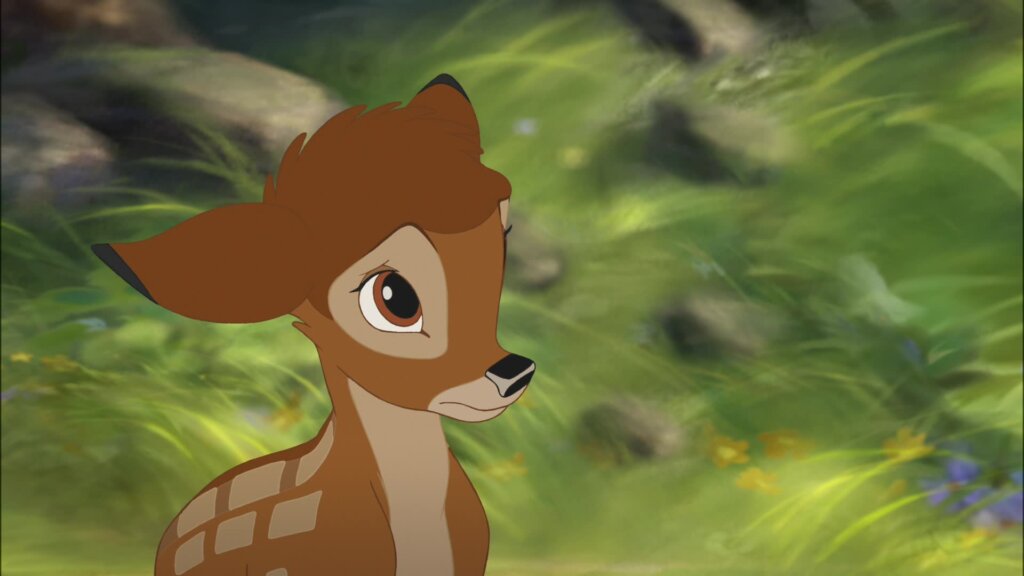 На территории тверского региона пройдут дожди На территории тверского региона пройдут дожди