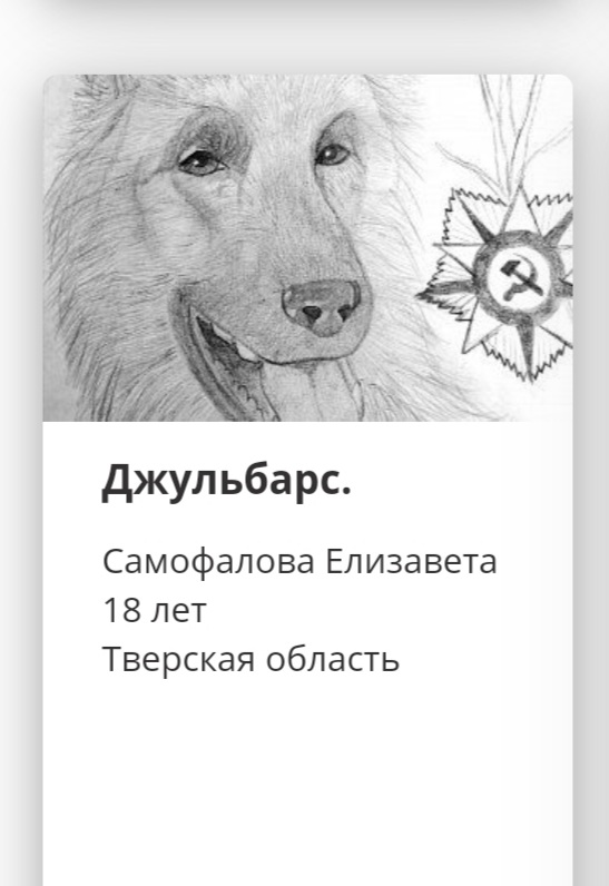 Жители Тверской области участвуют в творческом конкурсе Музея Победы