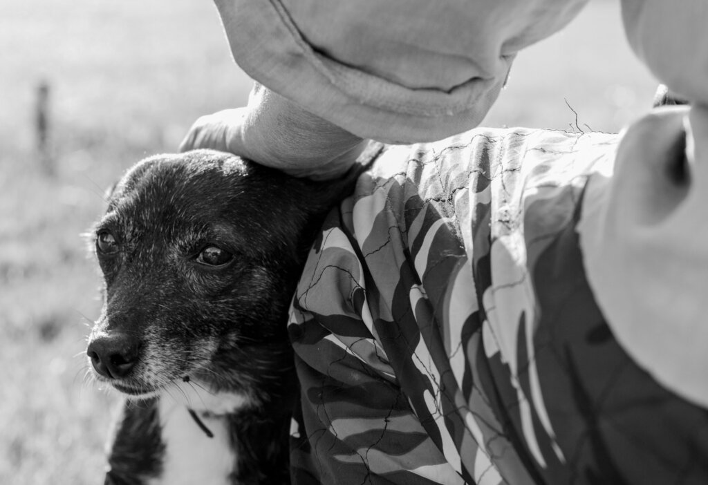 7-летняя жительница Тверской области стала призером конкурса рассказов «Мой верный друг» 7-летняя жительница Тверской области стала призером конкурса рассказов «Мой верный друг»