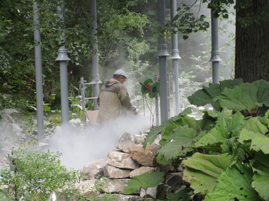 Ботаническому саду ТвГУ готовят подарок к его Дню рождения