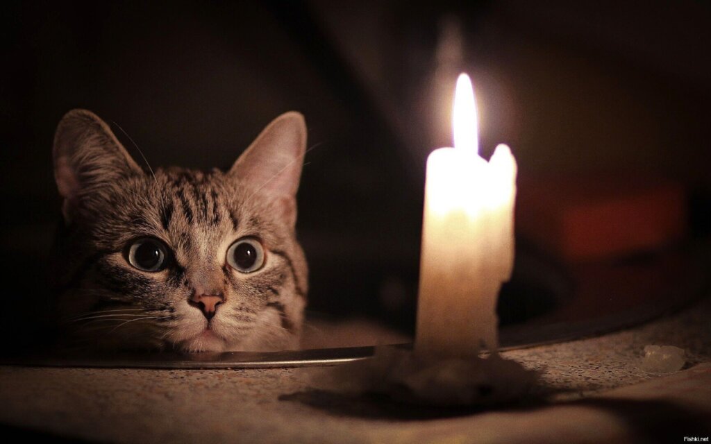 26 августа в некоторых районах Тверской области не будет света 26 августа в некоторых районах Тверской области не будет света