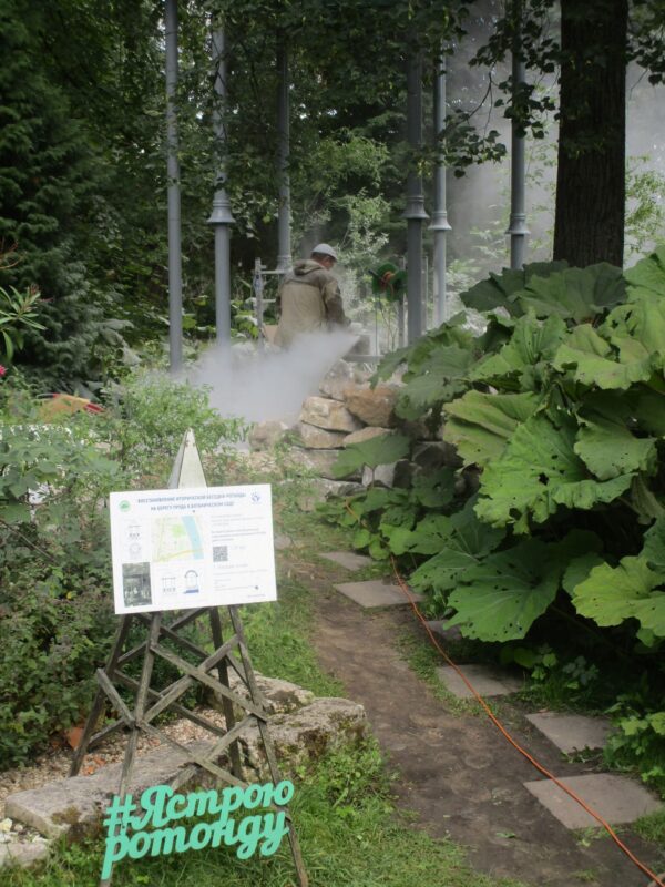 Ботаническому саду ТвГУ готовят подарок к его Дню рождения