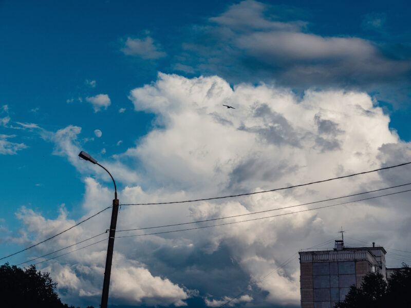 Тверской фотограф вспомнил майские деньки в преддверии осени
