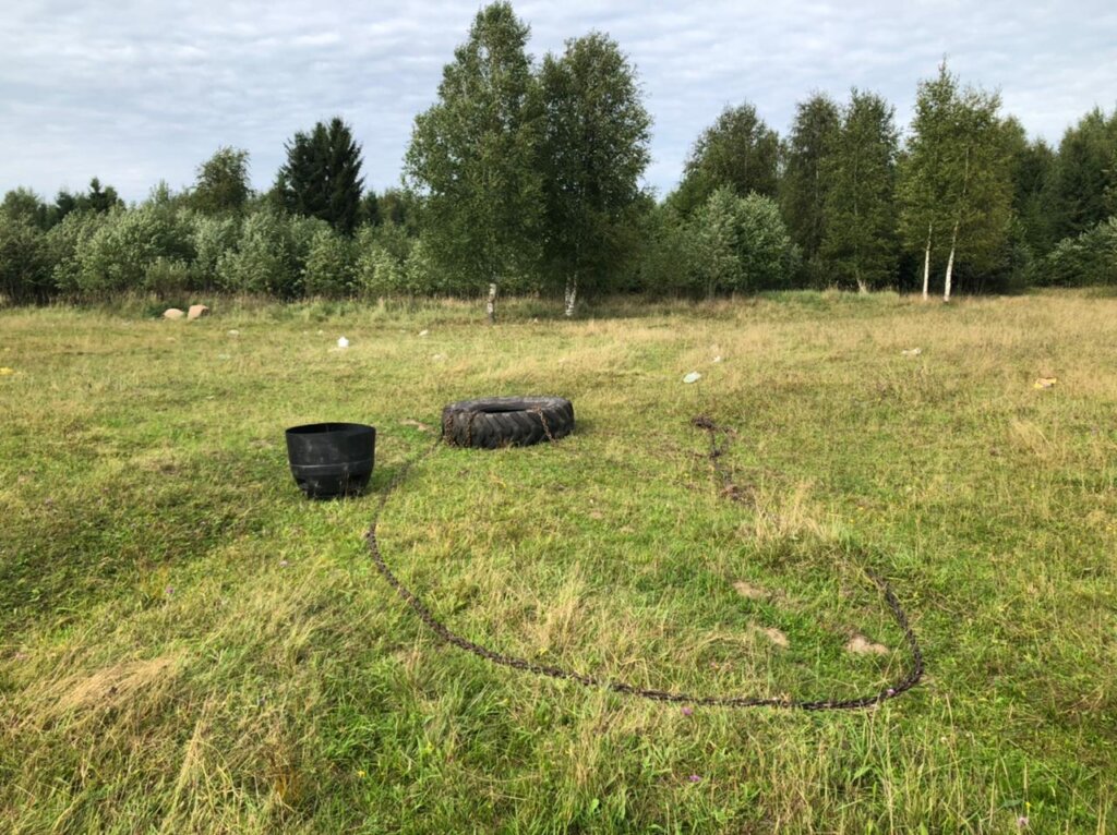 В Тверской области бык насмерть забодал мужчину В Тверской области бык забодал своего хозяина
