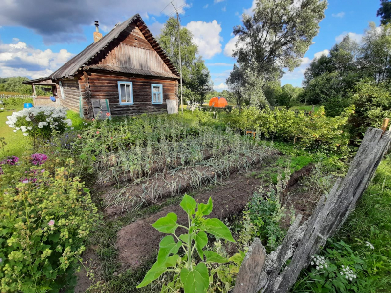 Житель Западной Двины вырастил на своем участке 6 килограмм мака