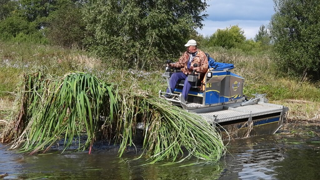 Реки Калязина скажут «нет» сорным растениям Реки Калязина скажут «нет» сорным растениям