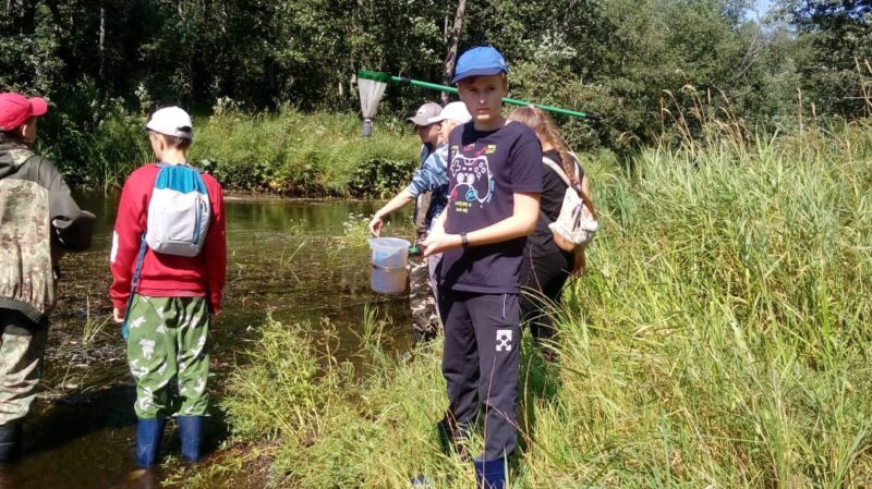 В "Академии леса" прошли обучение активисты школьных лесничеств Тверской области