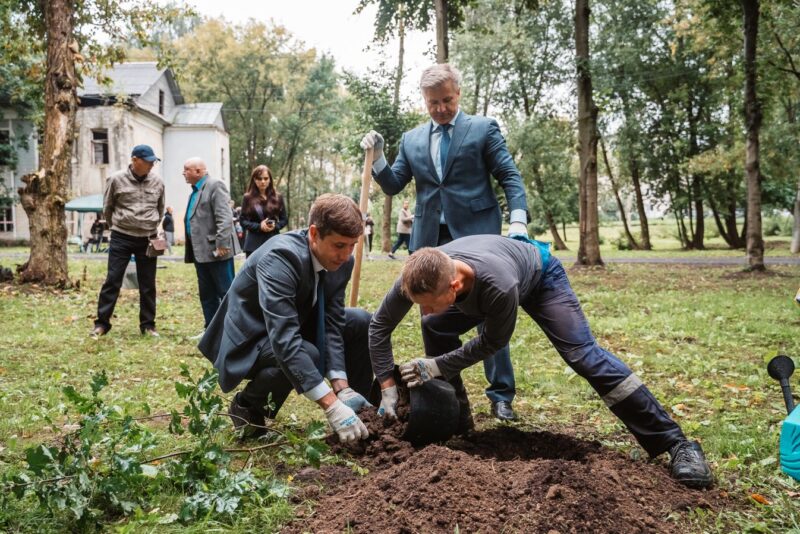 200-летний дуб в парке Воксал в Твери получил статус памятника живой природы