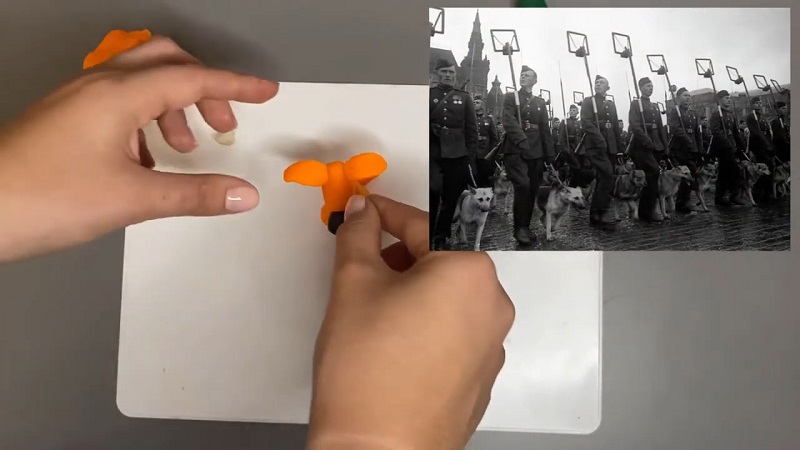 Жители Верхневольжя смогут узнать о подвигах фронтовых собак