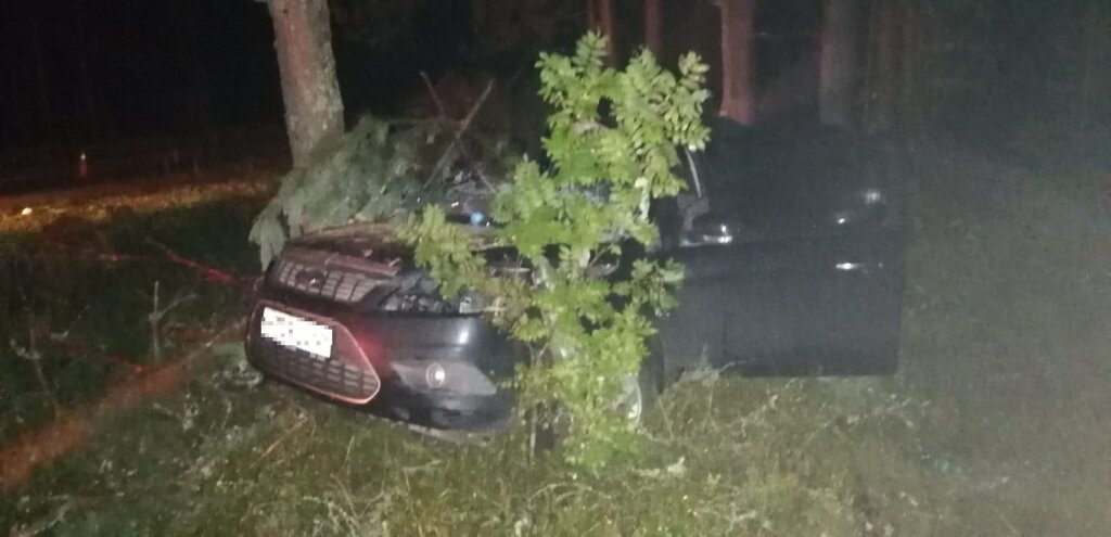 В Тверской области ночью автомобиль "протаранил" дерево