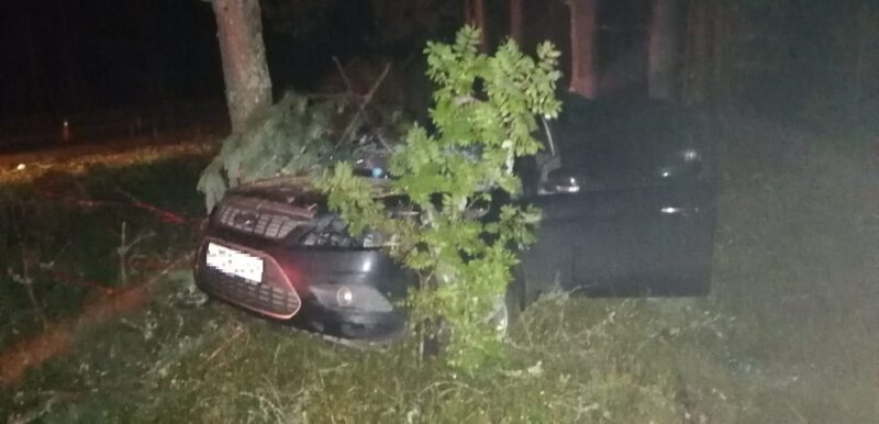 В Тверской области ночью автомобиль "протаранил" дерево