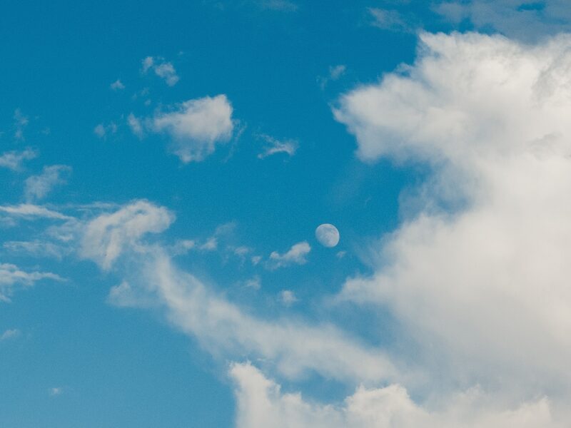 Тверской фотограф вспомнил майские деньки в преддверии осени