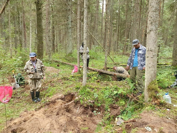 В Тверской области поисковики нашли останки летчика на месте крушения самолета И-16
