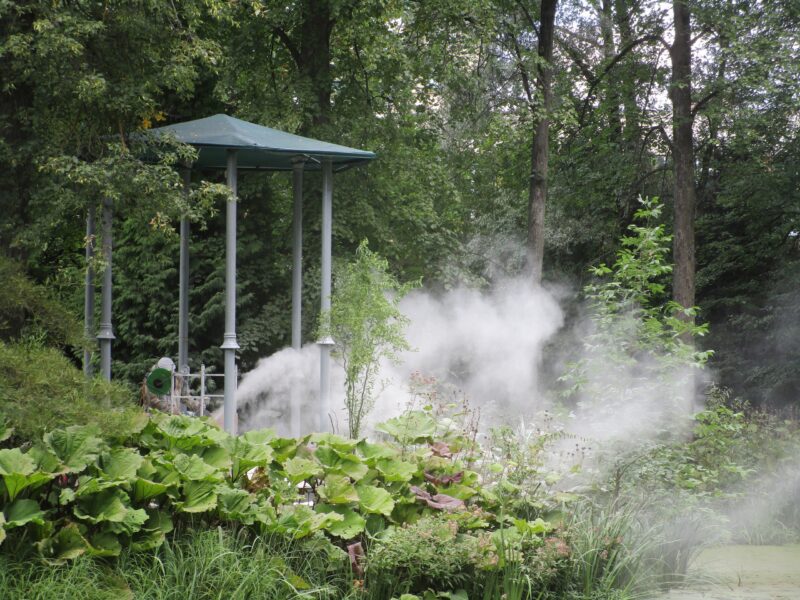 Ботаническому саду ТвГУ готовят подарок к его Дню рождения