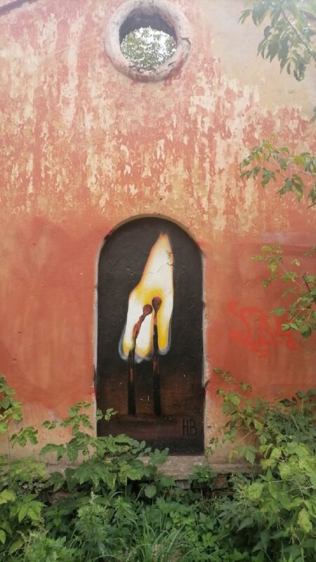 В Твери появился новый рисунок на стене