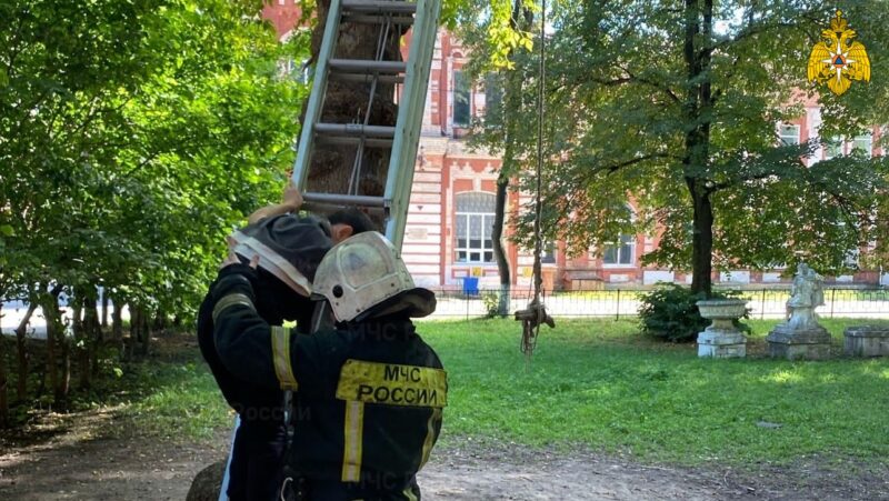 В Твери сотрудники МЧС спасли мальчика от падения с огромной высоты