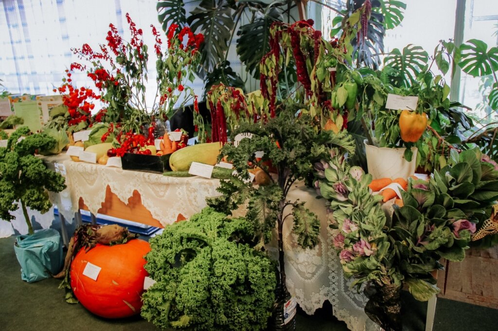 Ребята из Тверской области могут презентовать свои проекты в новой номинации конкурса «Юннат» Ребята из Тверской области могут презентовать свои проекты в новой номинации конкурса «Юннат»