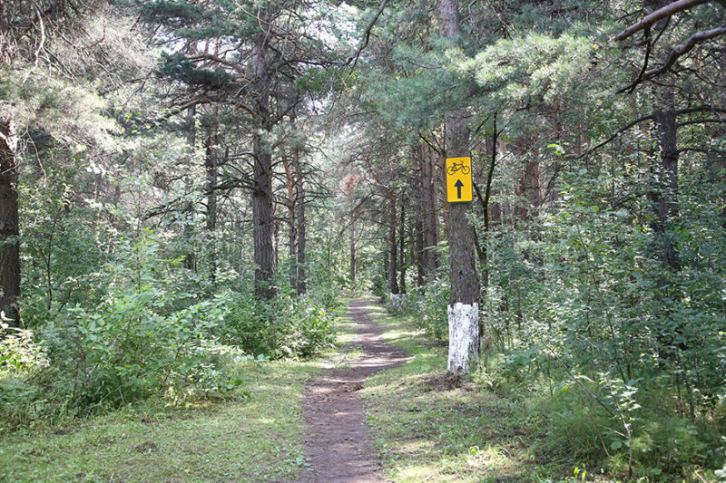 Владимир Васильев открыл первый в Твери семейный веломаршрут