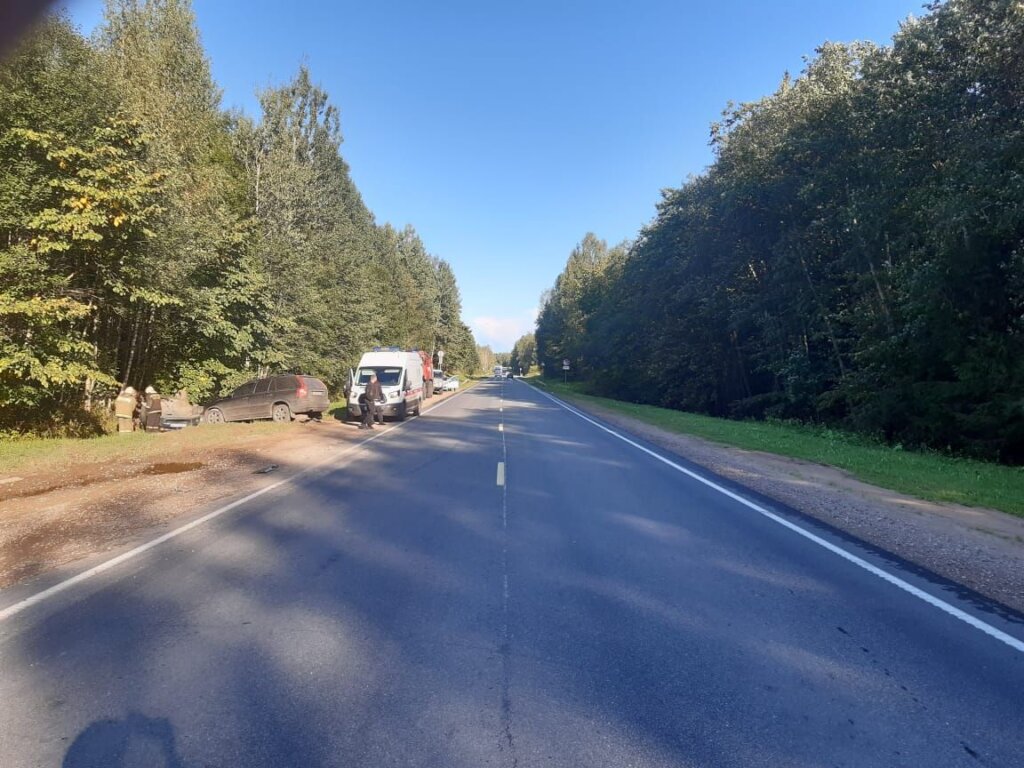 В аварии в Тверской области получили травмы два пенсионера и водитель В аварии в Тверской области получили травмы два пенсионера и водитель
