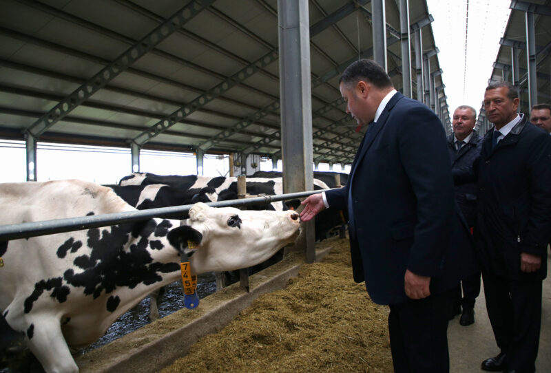 Темпы уборочных сельхозработ в Тверской области увеличены по сравнению с прошлыми годами