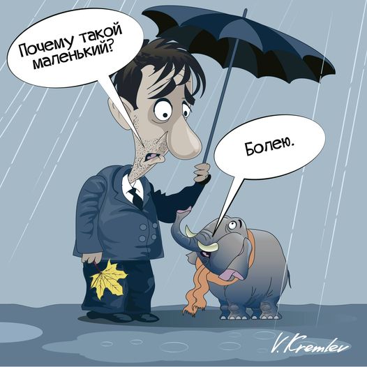 Карикатурист из Твери напомнил о Дне защиты слонов Карикатурист из Твери напомнил о Дне защиты слонов