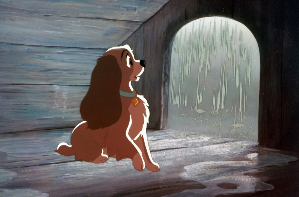 Все еще холодно и дождливо: сентябрь в Тверской области не горит, а морозит Все еще холодно и дождливо: сентябрь в Тверской области не горит, а морозит