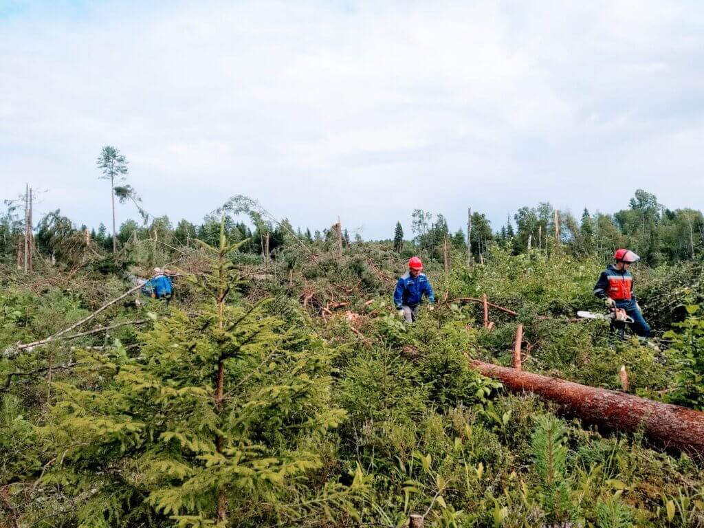 Министр энергетики и ЖКХ Тверской области наградил энергетиков за восстановление электроснабжения в Андреаполе
