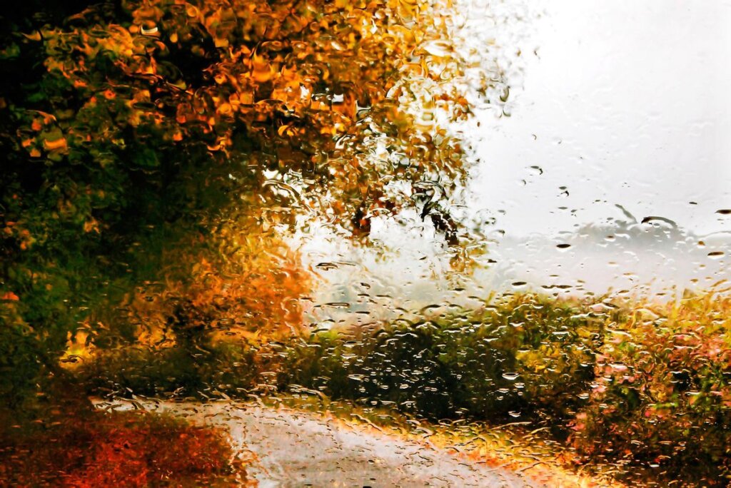 Песни дождя прозвучат в ДК "Пролетарка" Песни дождя прозвучат в ДК "Пролетарка"