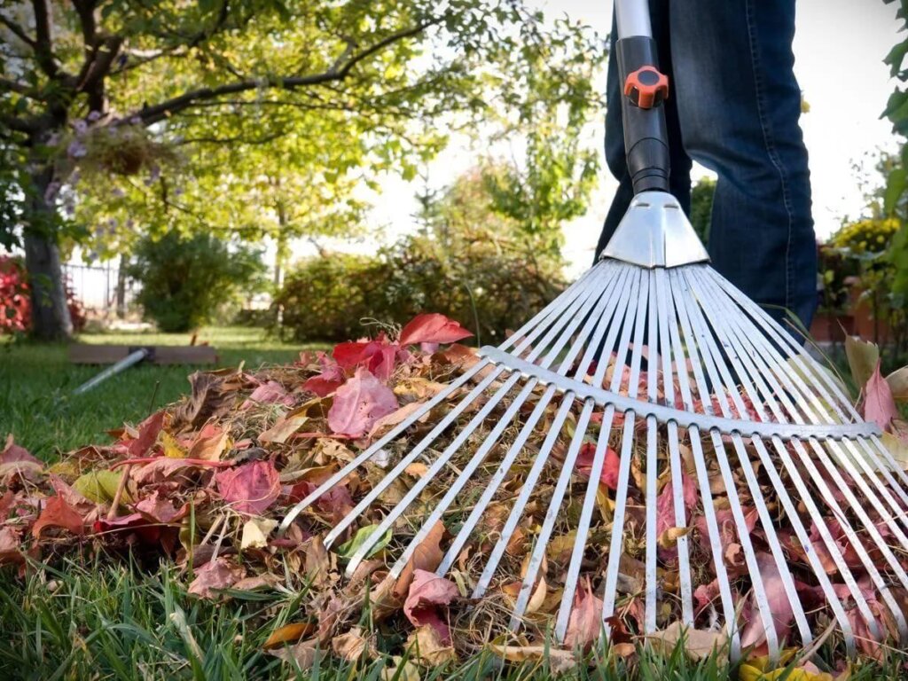 Жителей города Конаково приглашают на субботник