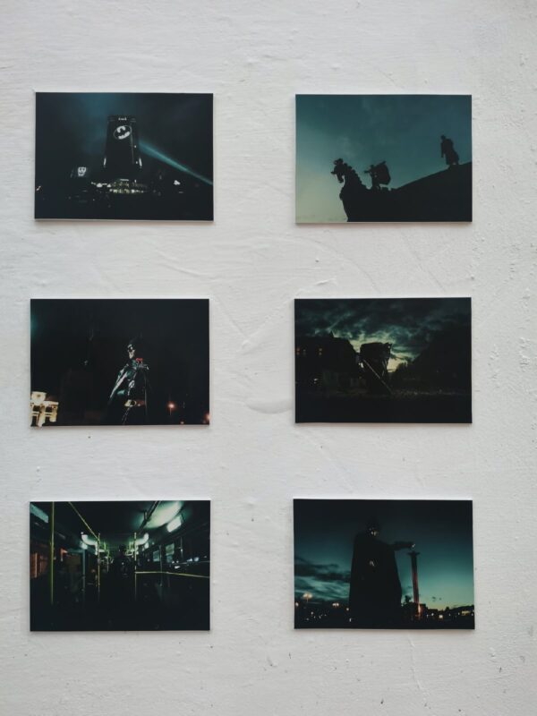 В Твери появилась уникальная уличная бэтвыставка