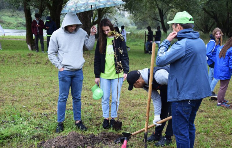 В Твери заложили рябиновую «Аллею Дружбы»