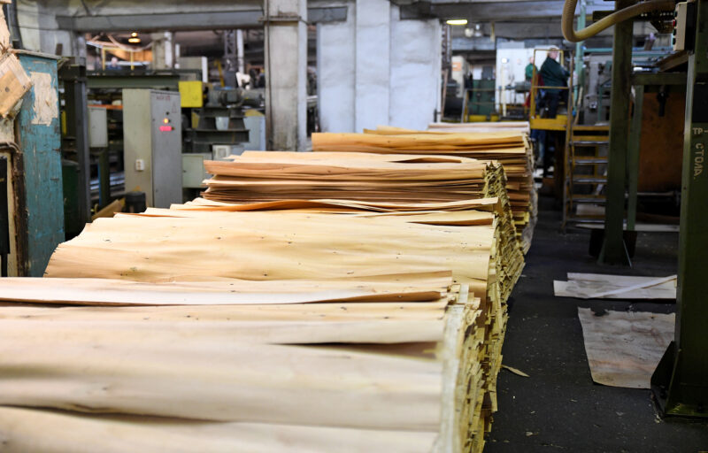 Игорь Руденя и Владимир Васильев посетили Нелидовский ДОК