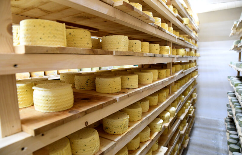 Глава региона ознакомился с производством Конаковского сырзавода