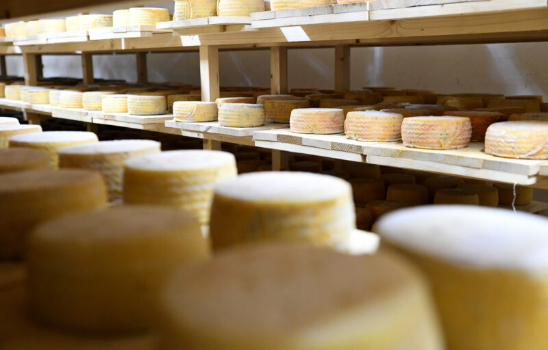 Глава региона ознакомился с производством Конаковского сырзавода