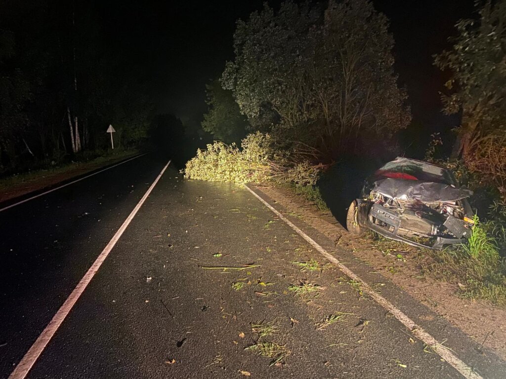 В Тверской области водитель иномарки потерял управление и вылетел в кювет
